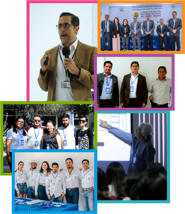CollageRBZ25-2