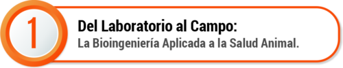BotonRbz26-01